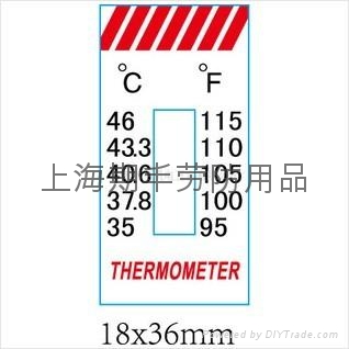 ������ֽ