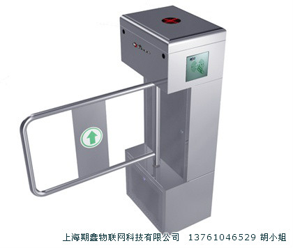 立式摆闸