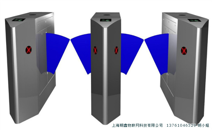 桥式尖角翼闸